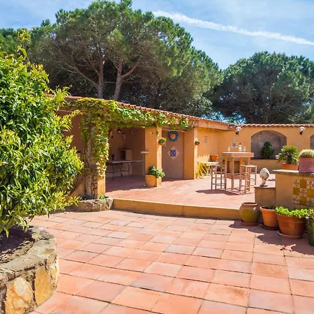 Violeta En Mas Nou *