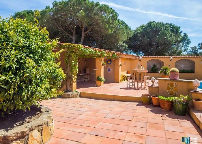 Violeta En Mas Nou *